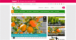 Desktop Screenshot of eziraatci.com